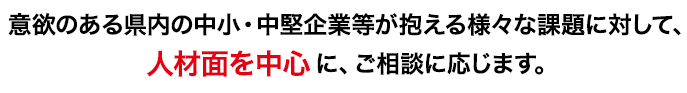 意欲のある県内の中小・中堅企業等が抱える様々な課題に対して、人材面を中心に、ご相談に応じます。